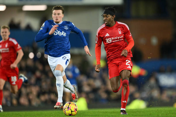 了极强的适 了极强的适